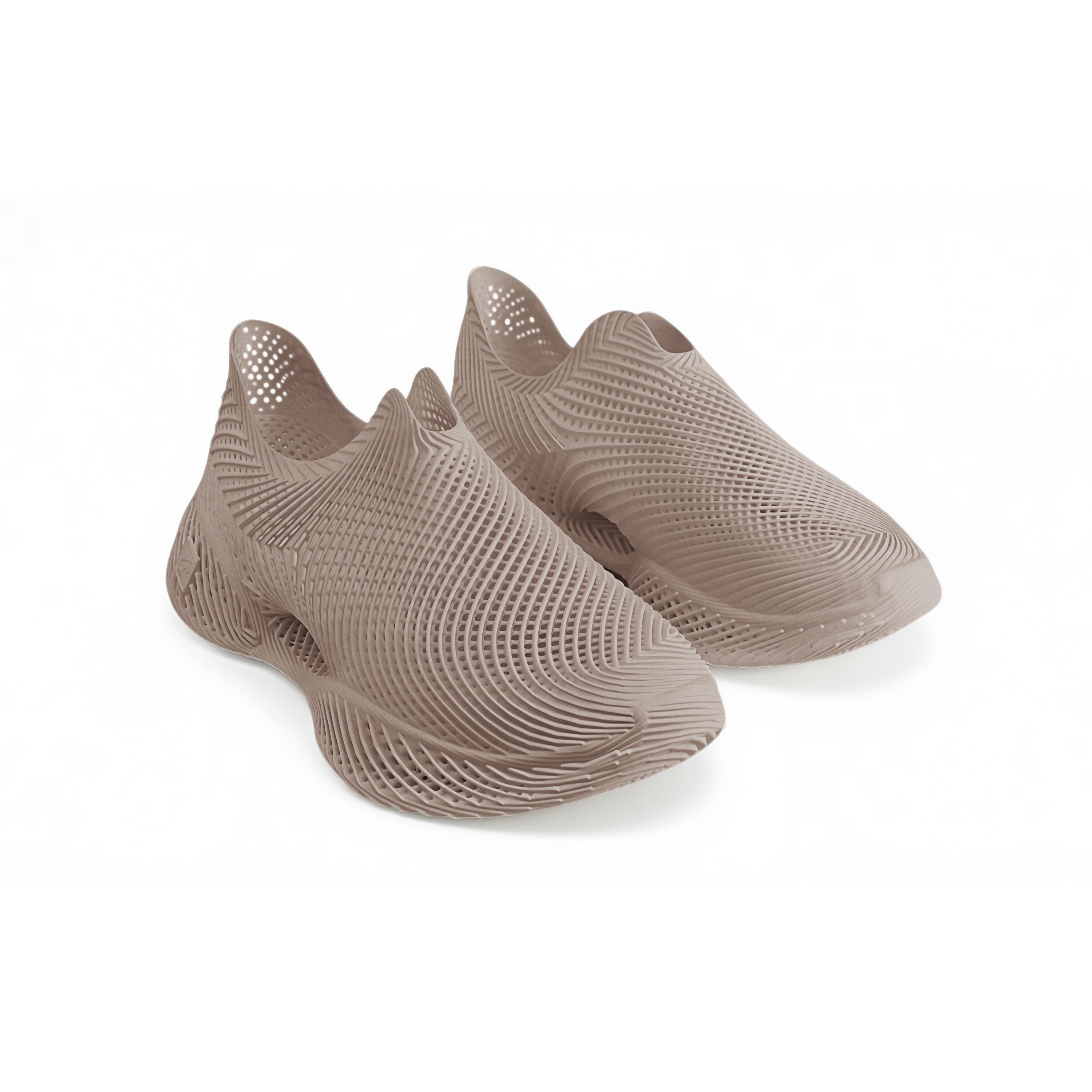 AeroBB 3D Printed Shoes