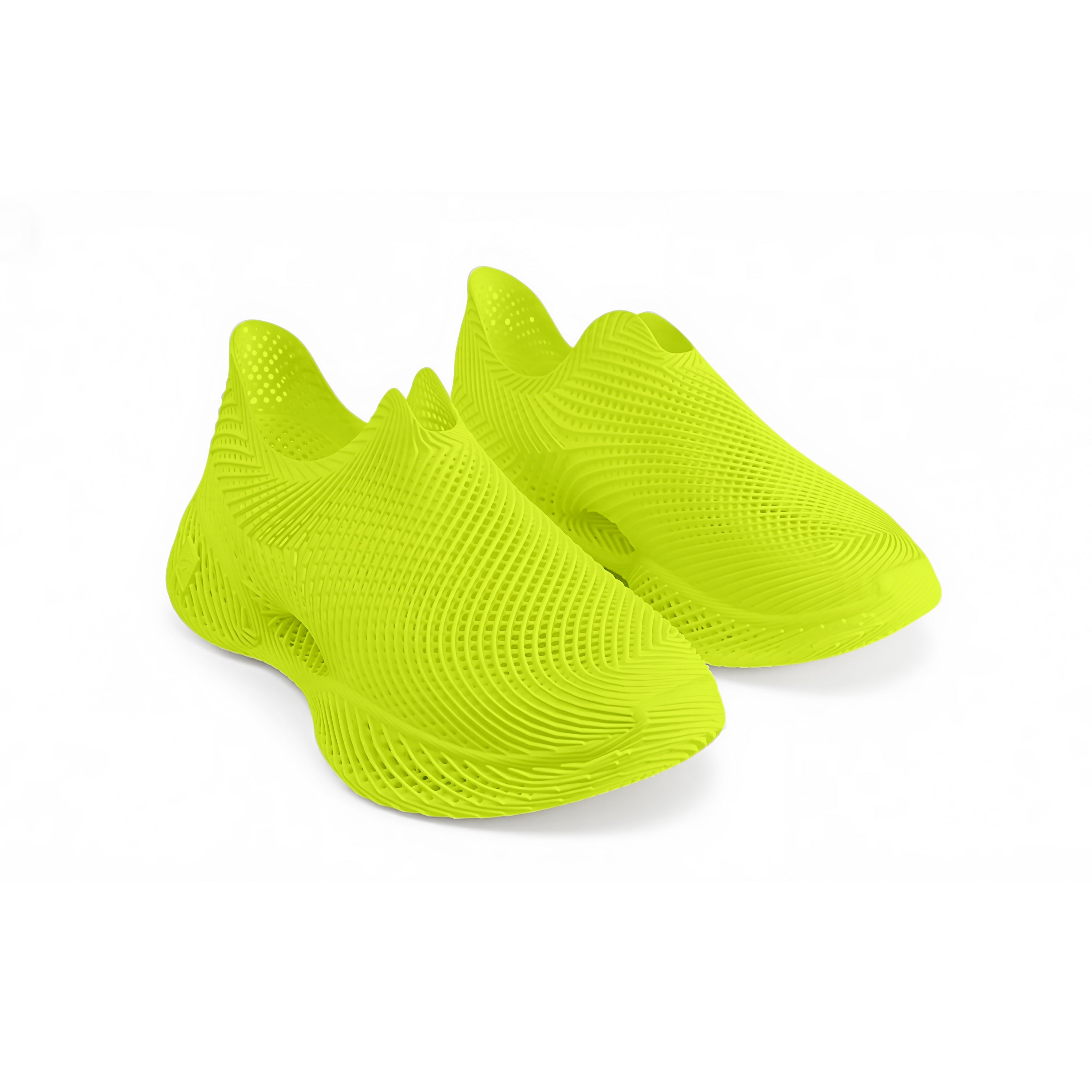 AeroBB 3D Printed Shoes