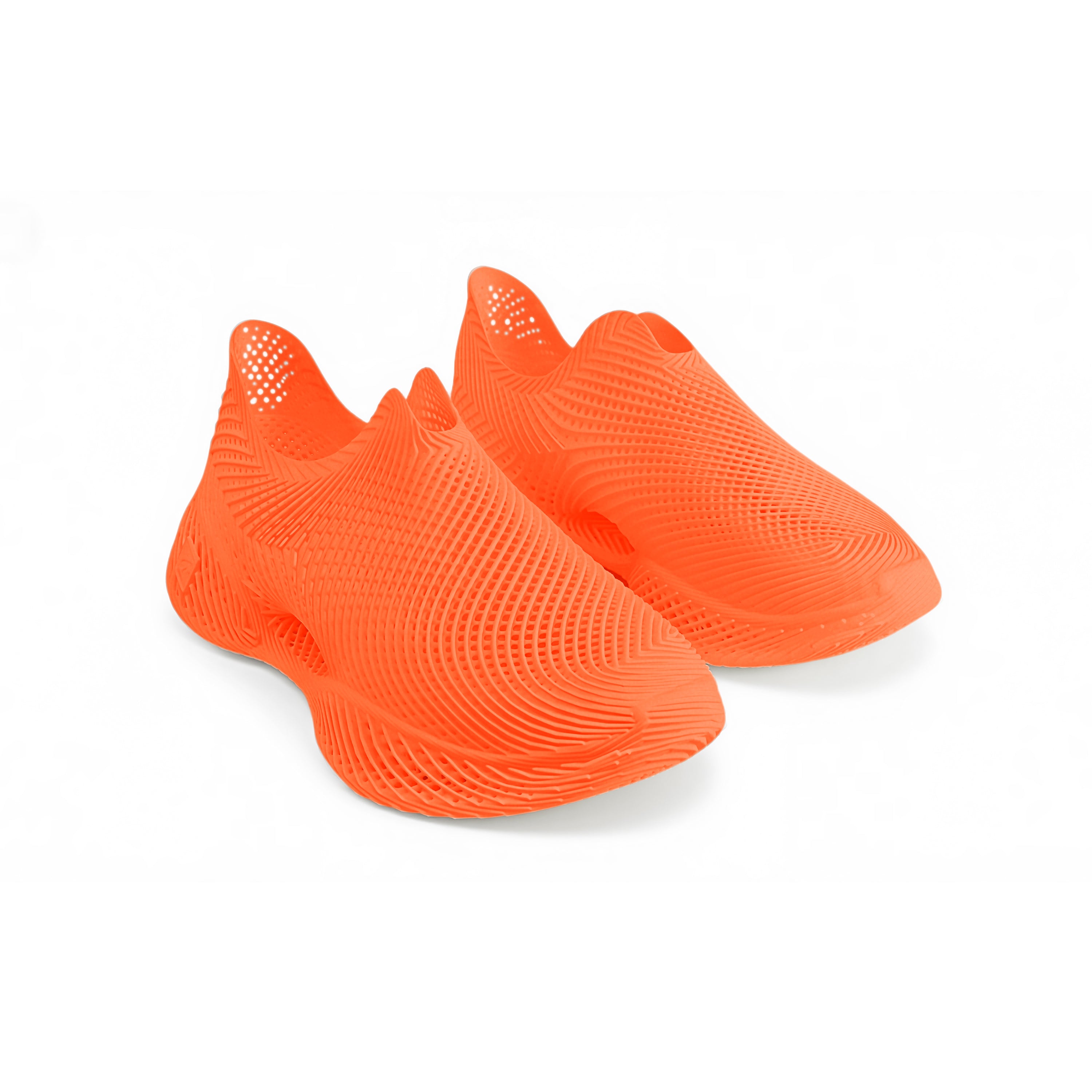 AeroBB 3D Printed Shoes