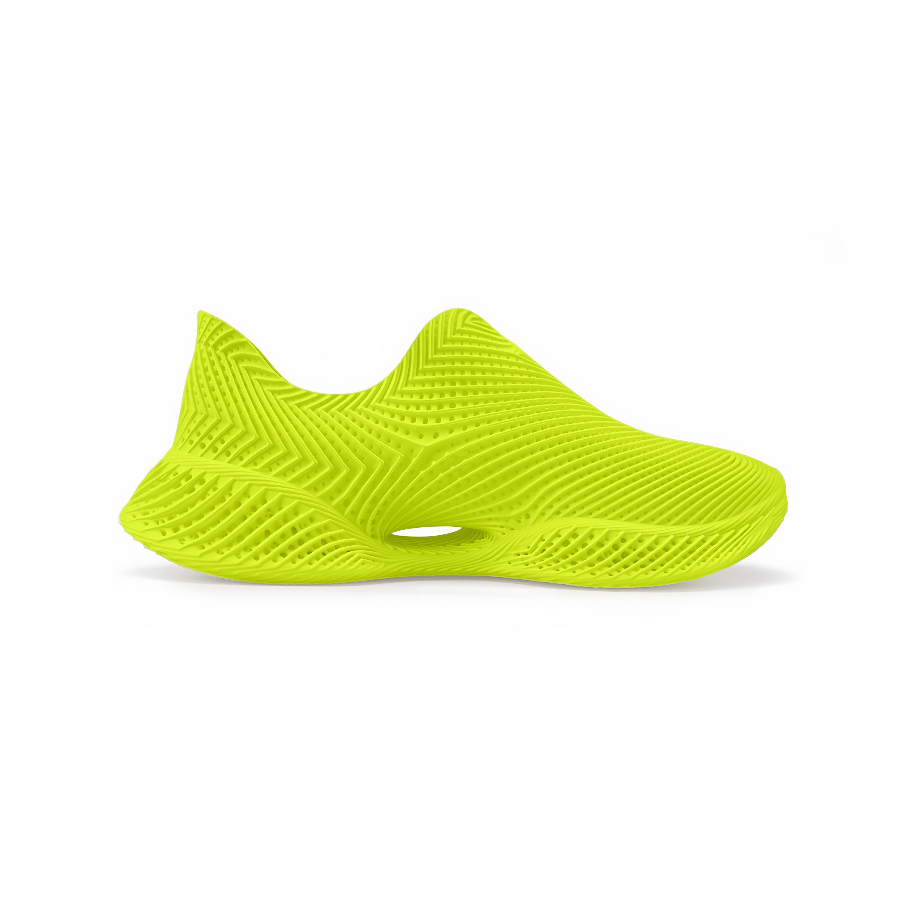 AeroBB 3D Printed Shoes