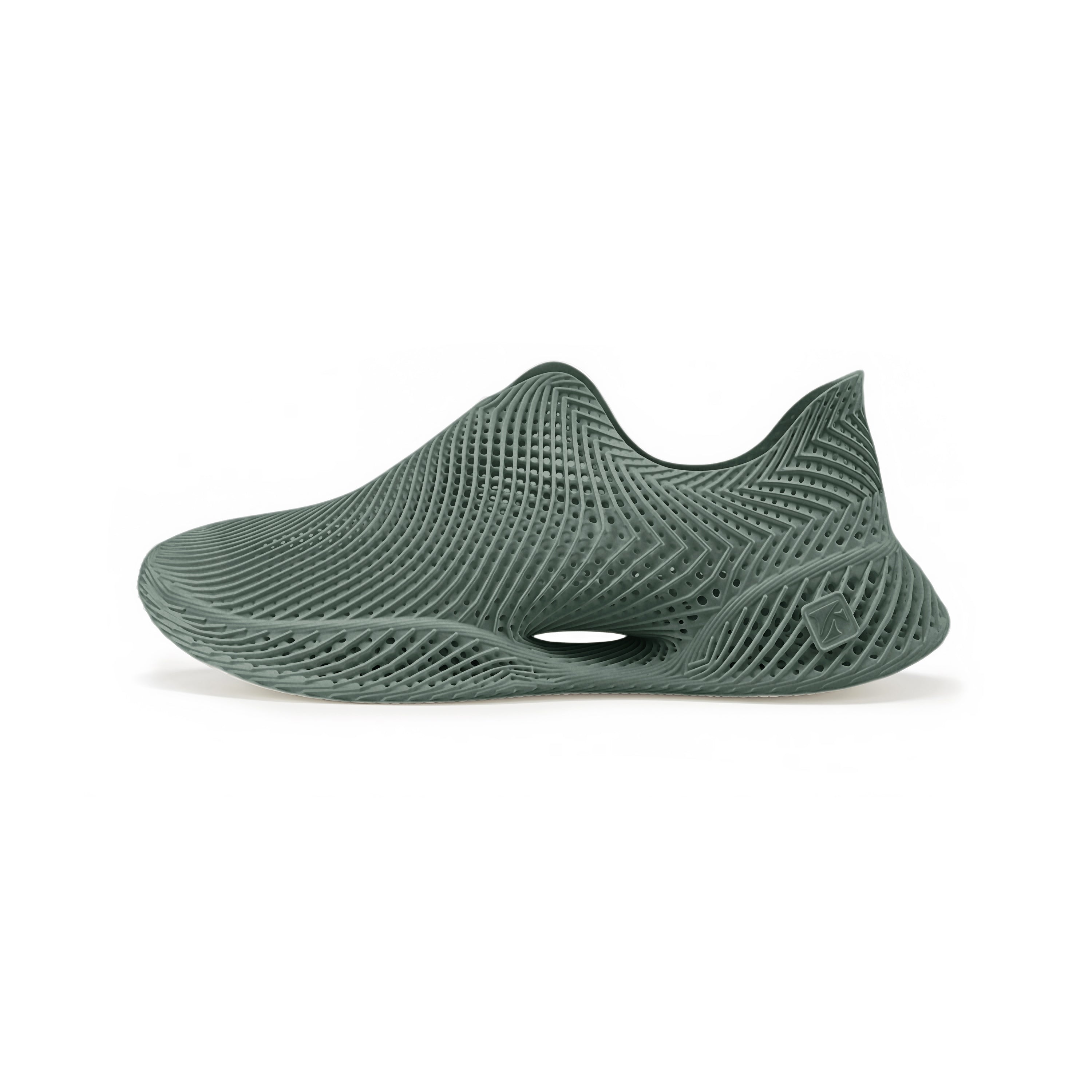 AeroBB 3D Printed Shoes