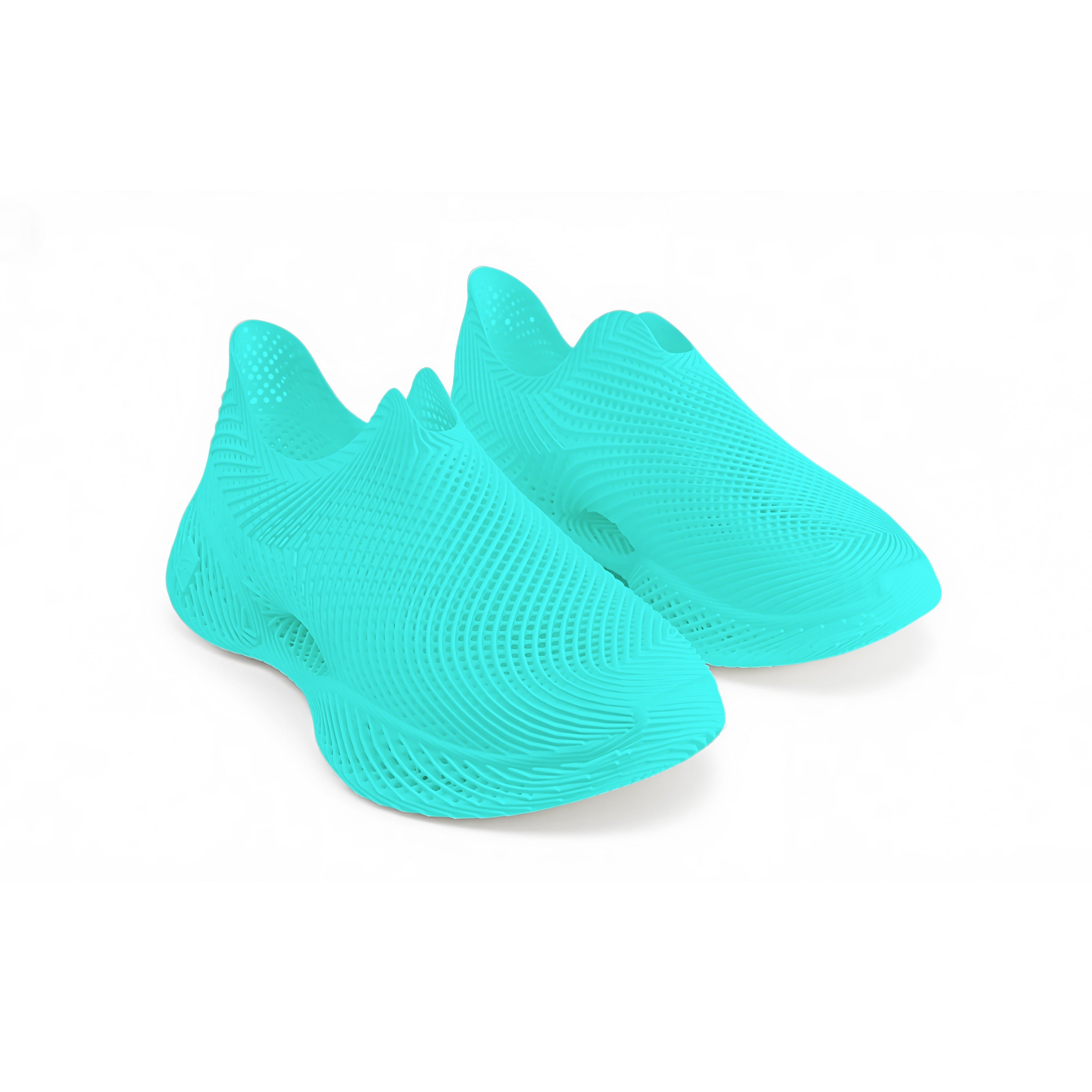 AeroBB 3D Printed Shoes 