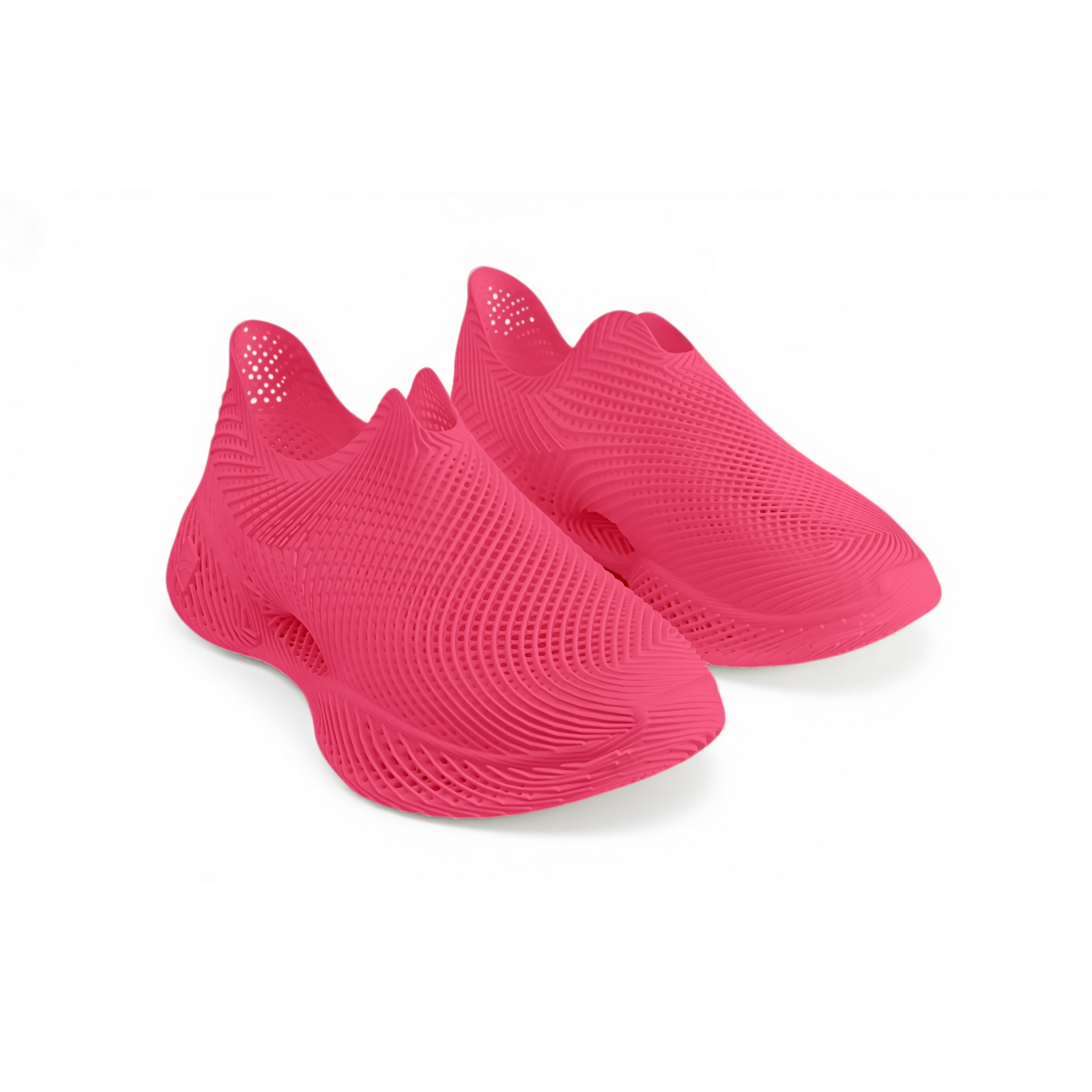 AeroBB 3D Printed Shoes 