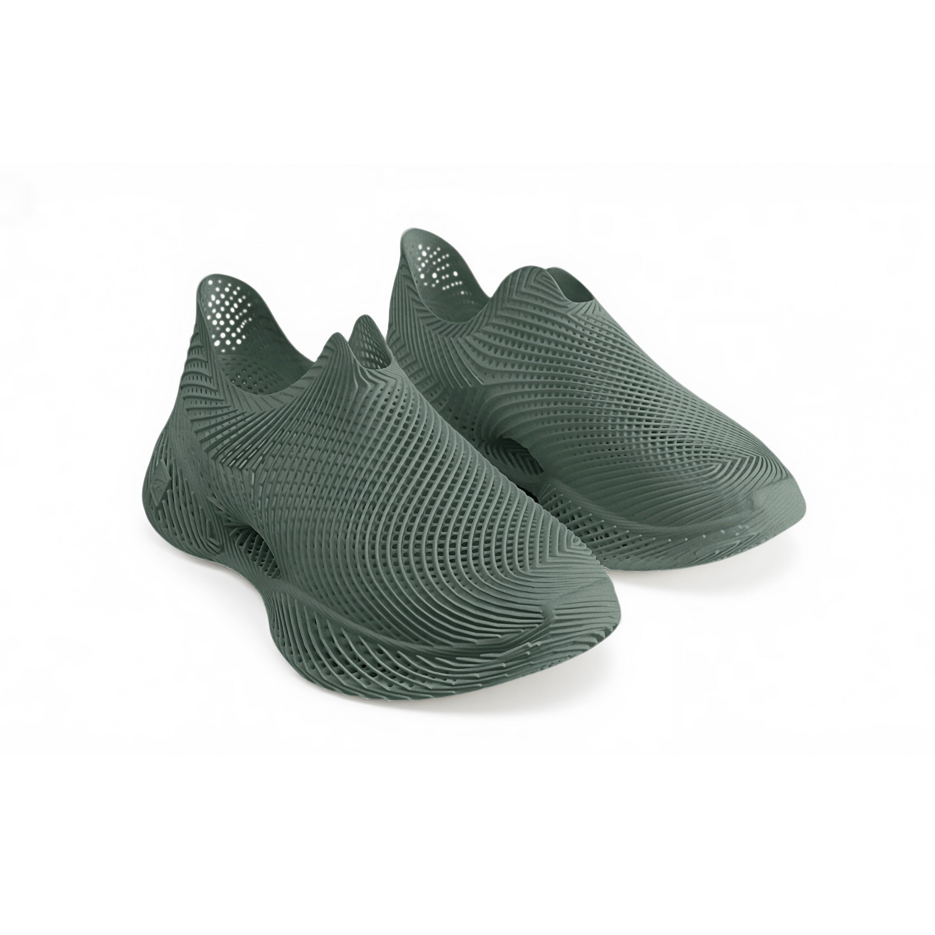 AeroBB 3D Printed Shoes 